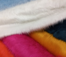 Sari