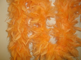 BOA - Izstrādajums no spalvām BOA - Izstrādajums no spalvām