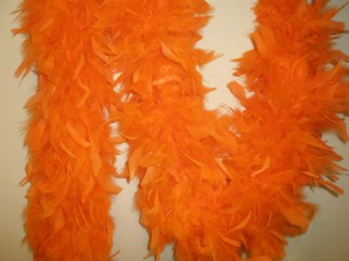 BOA - Izstrādajums no spalvām BOA - Izstrādajums no spalvām